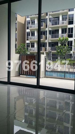 Palm Isles thumbnail photo